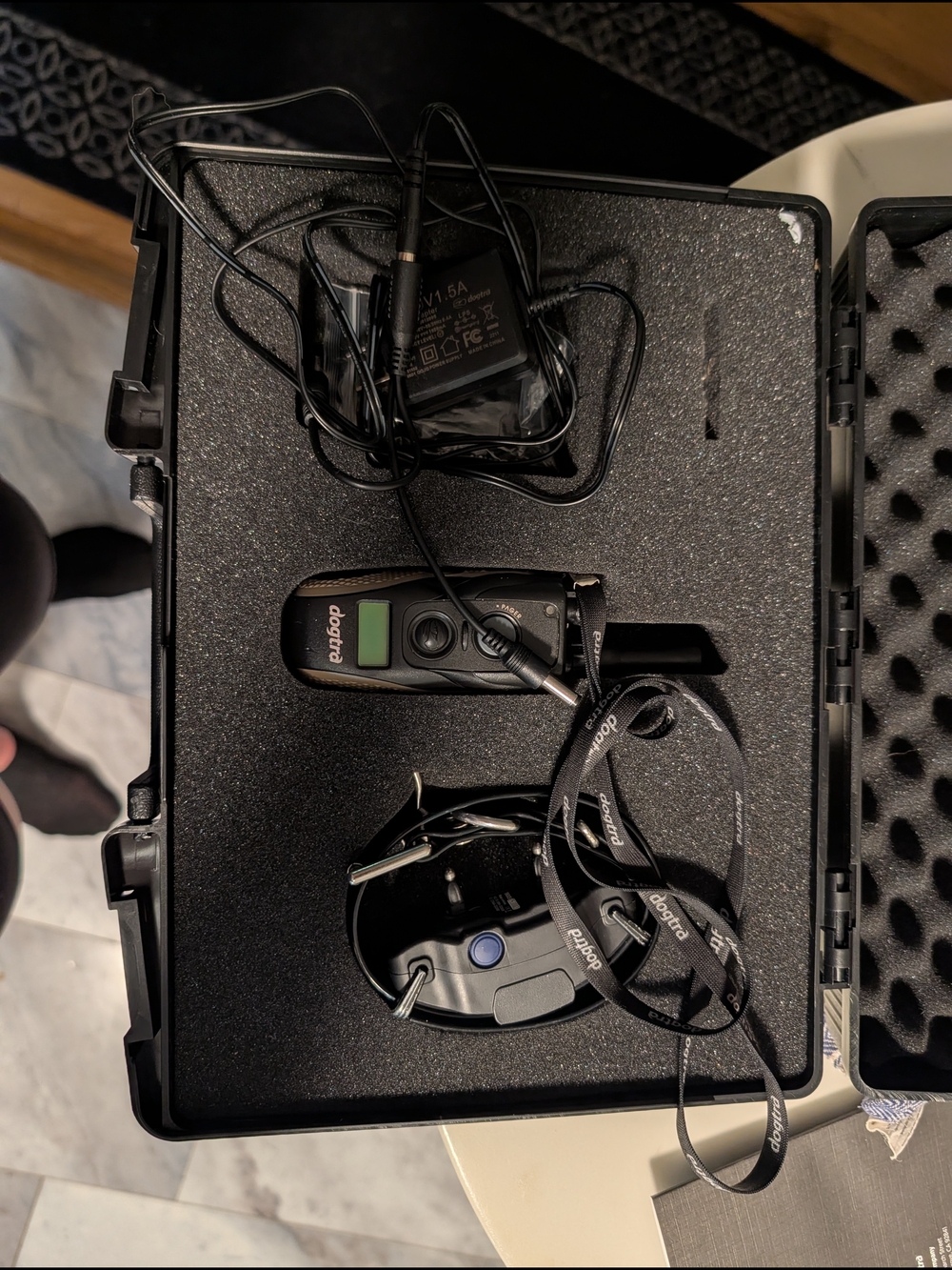 Dogtra Remote 1900s Trainer with Lanyard and Charger - Black